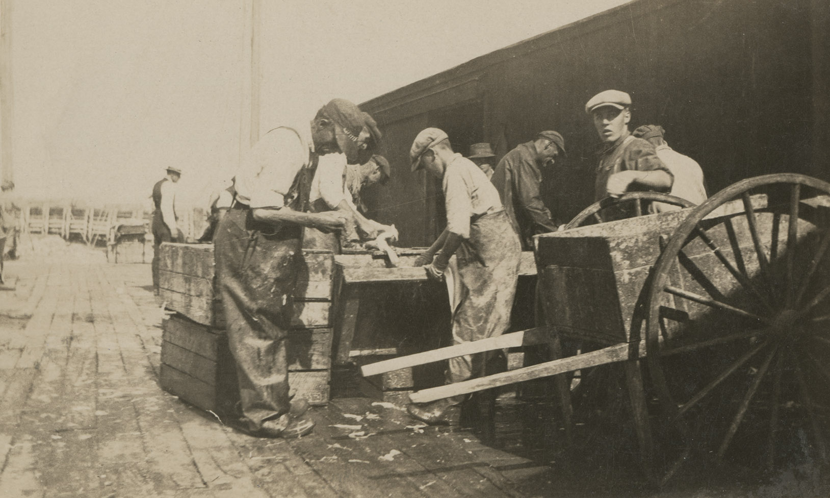 communityalbums - Men cutting fish on the North Quoggeniche (Abbott’s Harbour) wharf