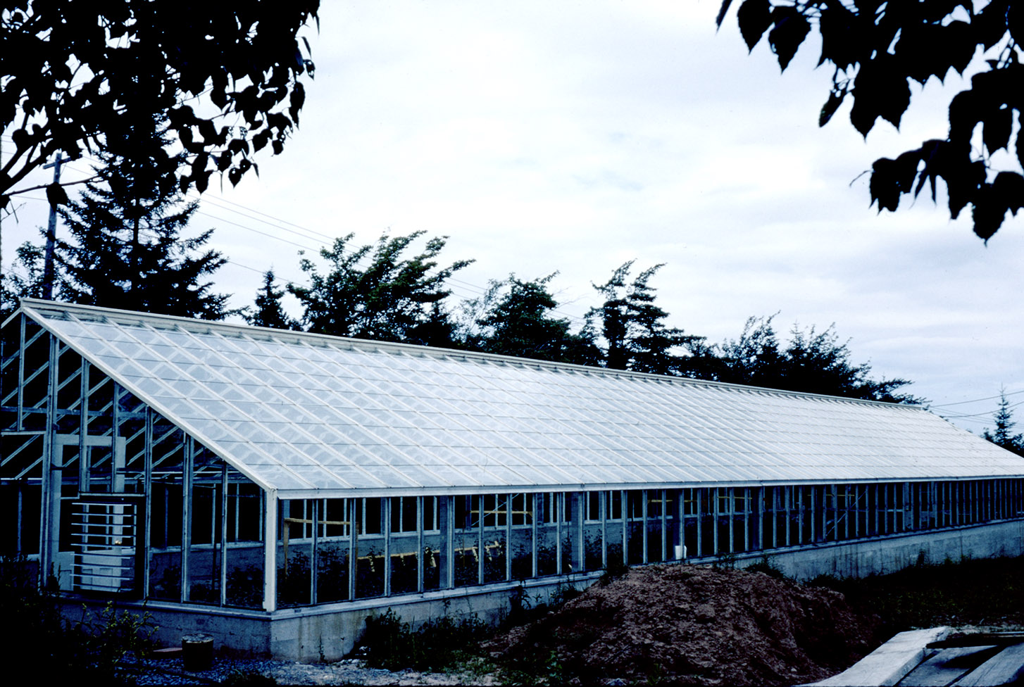 communityalbums - New greenhouse on Mount Saint Vincent grounds, Halifax, Nova Scotia.