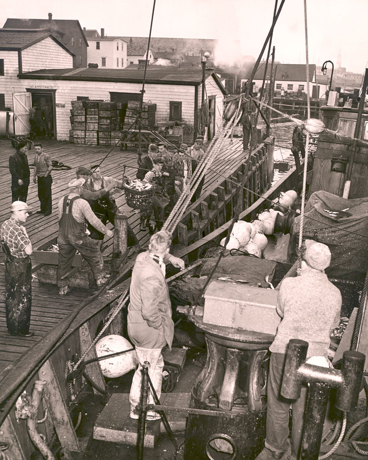 Unloading record catch of herring at Cheticamp