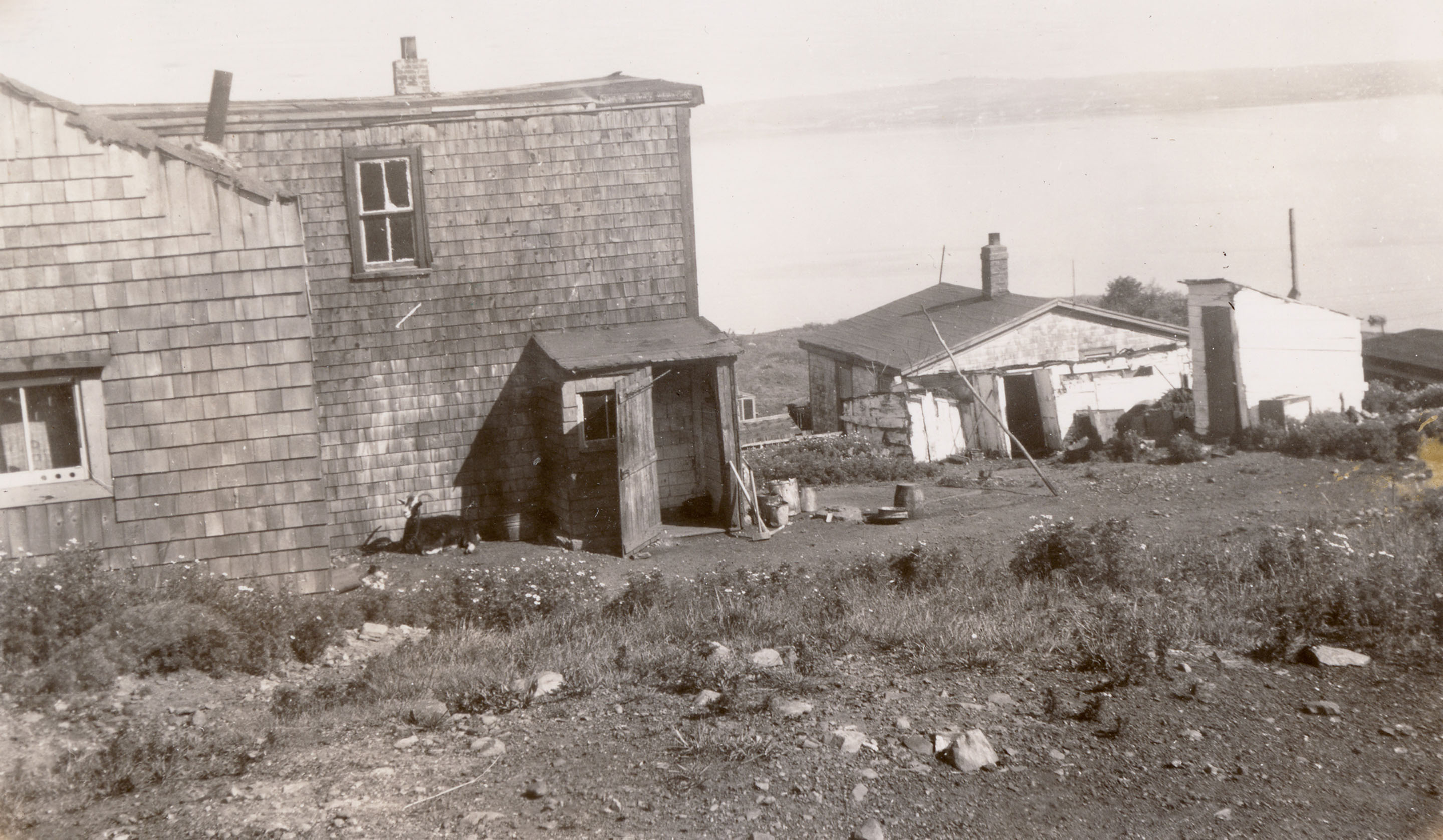african-heritage : Page 29 - Some Africville houses