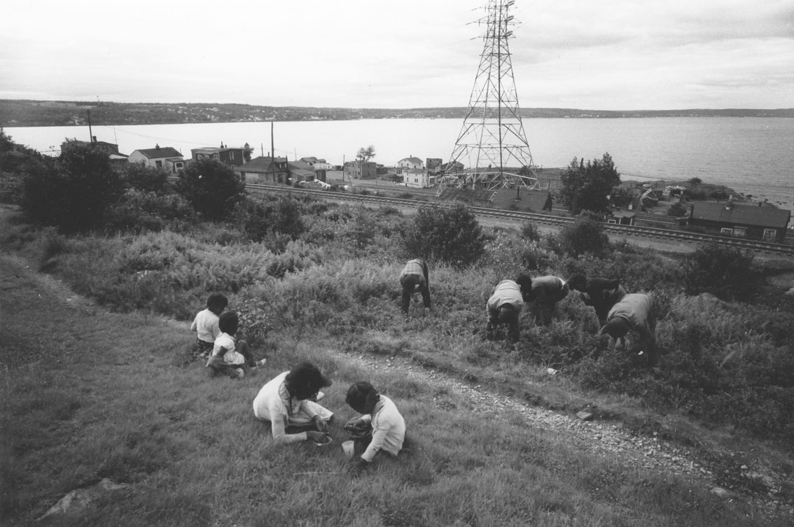 africville : Young blueberry pickers, Africville, with railway tracks, houses and Bedford Basin in the background.