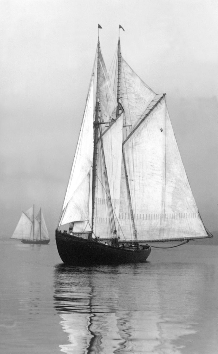 Grey Dawn; <i>Alcala</i> 1920