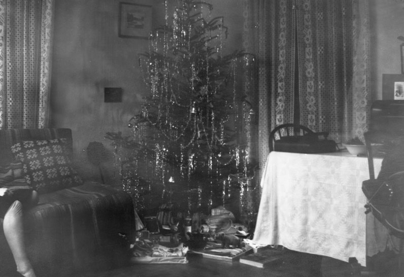 Christmas tree in a combined living and dining-room