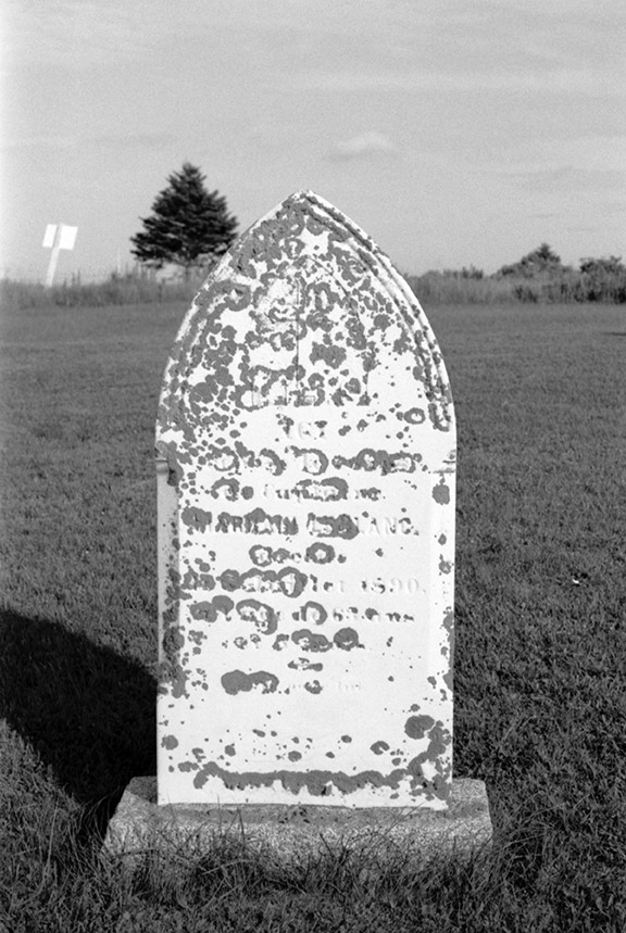 Acadian Cemeteries 201421009