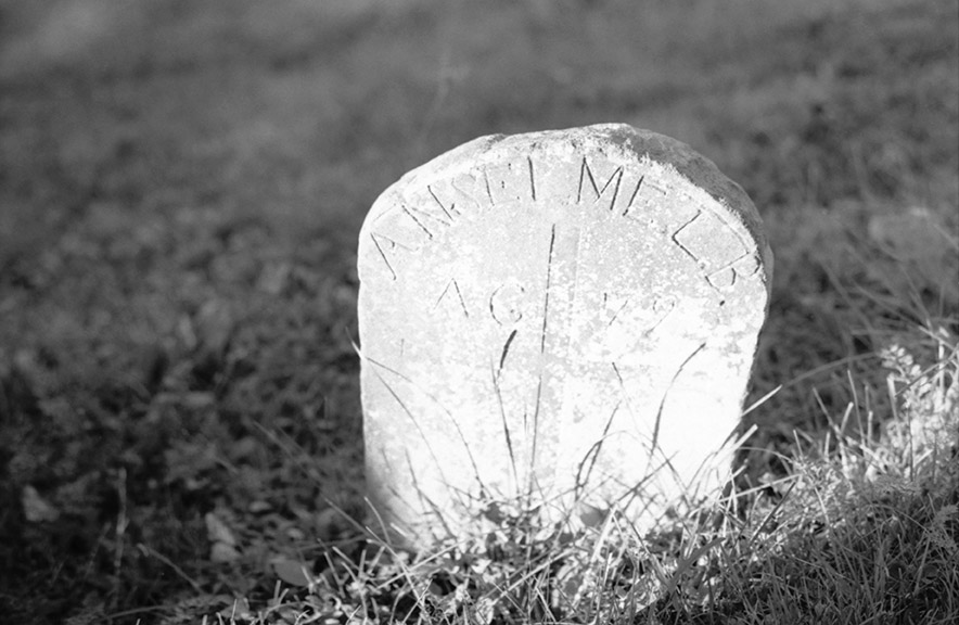 Acadian Cemeteries 201421460