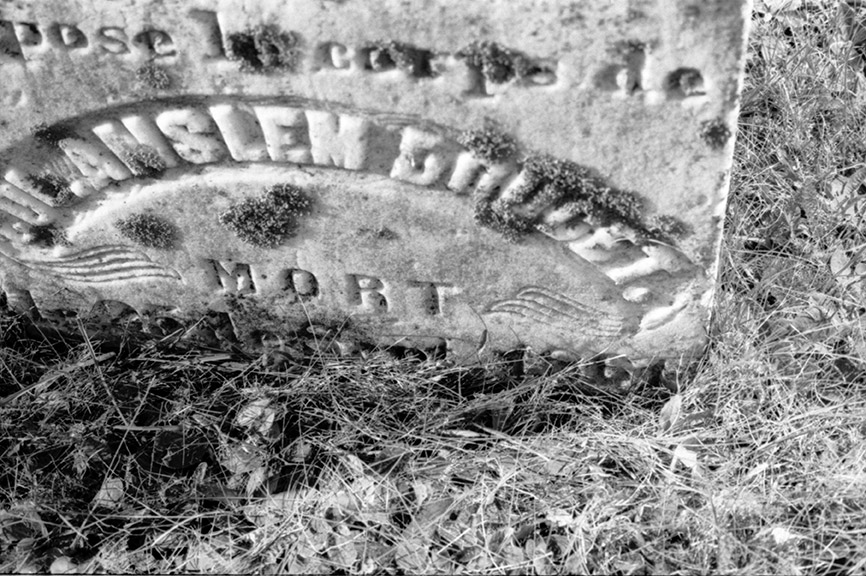 Acadian Cemeteries 201421481