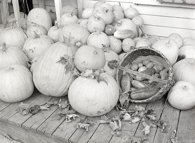 Pumpkins and other produce