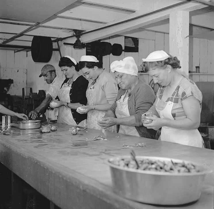 Peeling potatoes for canned chowder in the Frank E. Davis Fish Plant