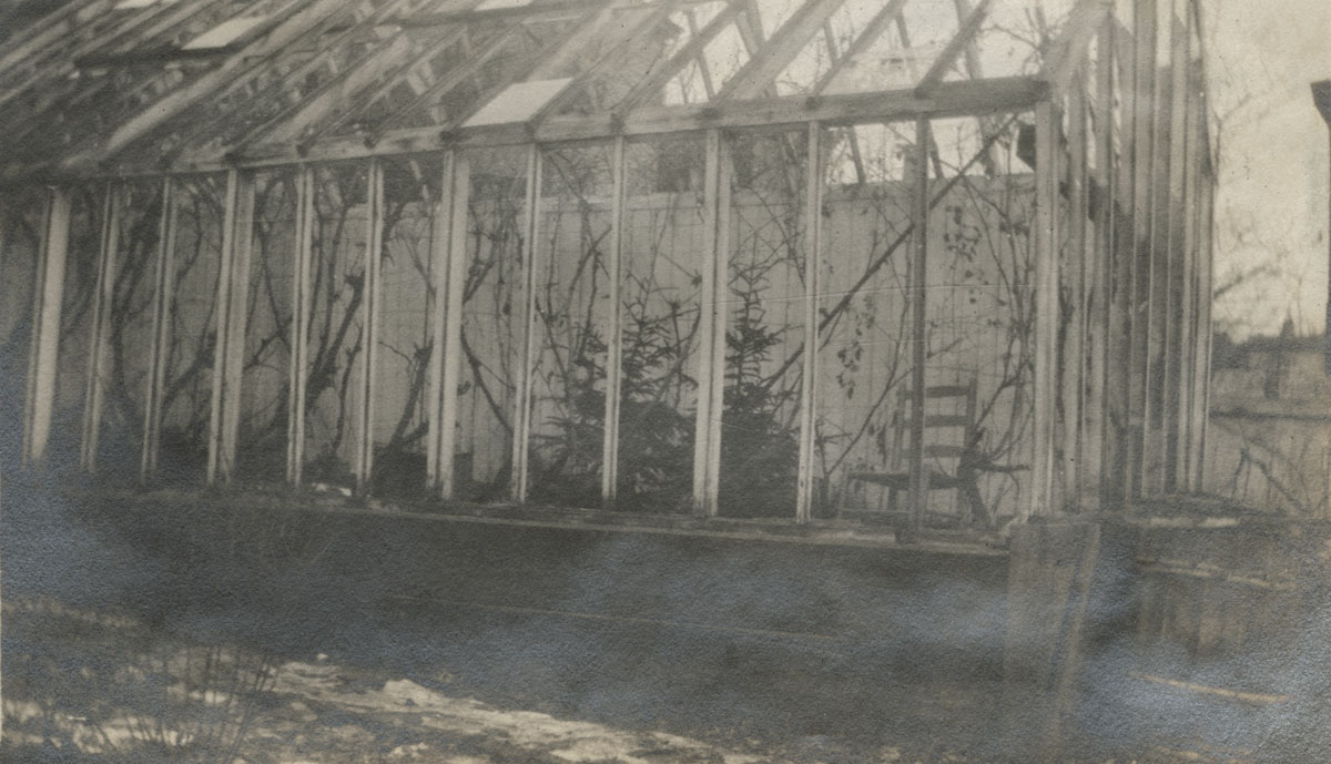 creighton : Greenhouse on Portland Street, Dartmouth After the Explosion