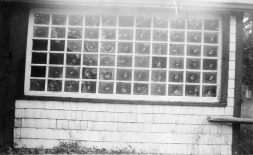 Original hand-made glass window, Uniacke House, Mount Uniacke