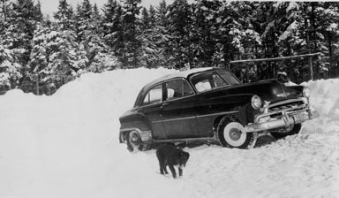 Car and dog, large snowbanks