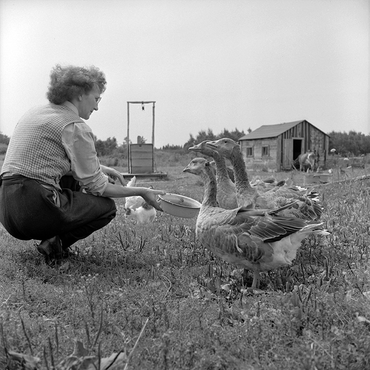 Nova Scotia Archives Women Of Digby County 1950