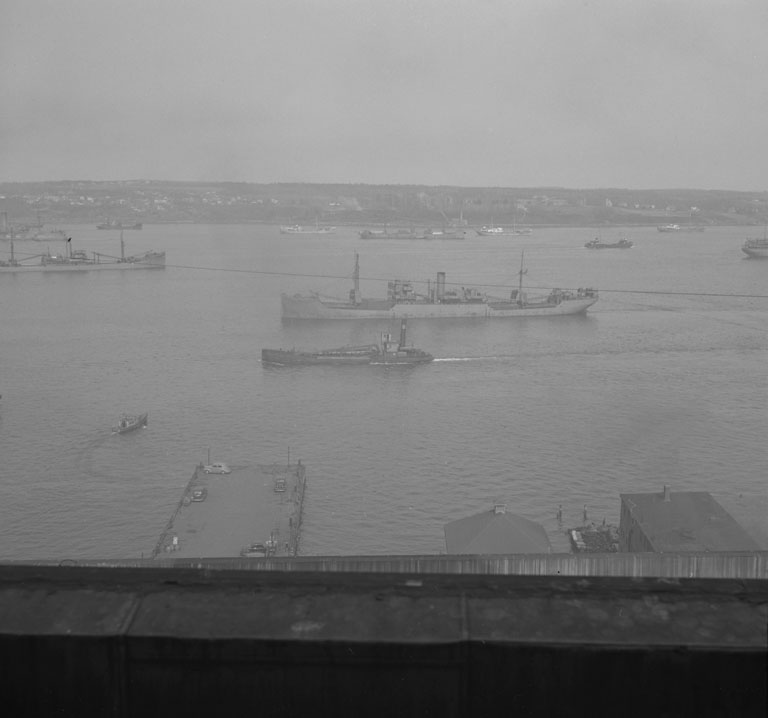 Freighter SS <i>Yorkmar</i> coming in