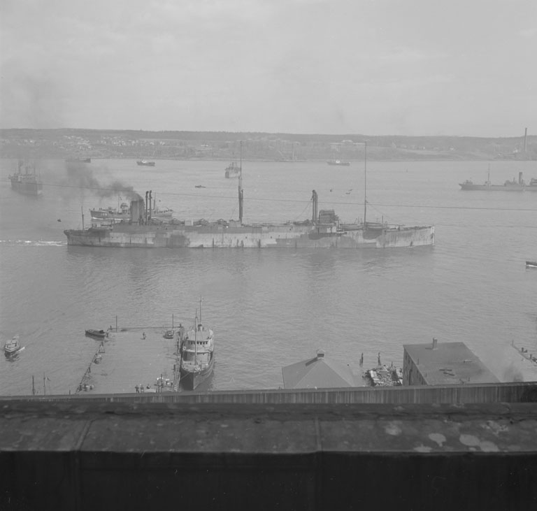 British Whale Oil Factory ship <i>Southern Princess</i>
