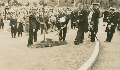George VI Planting Tree on Morris Street near Summer Street During Visit to Halifax