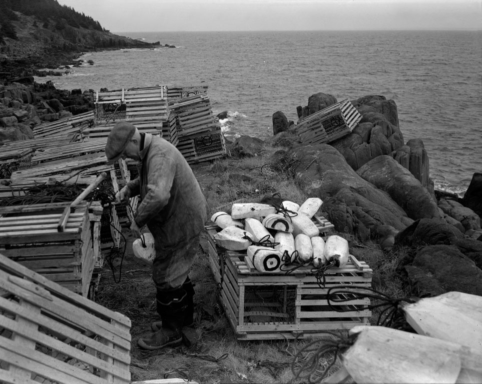 Repairing Traps, St. Mary's Bay