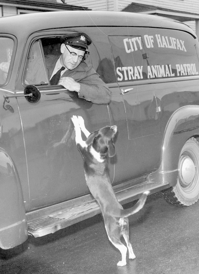 City of Halifax Stray Animal Patrol Van, [195-]