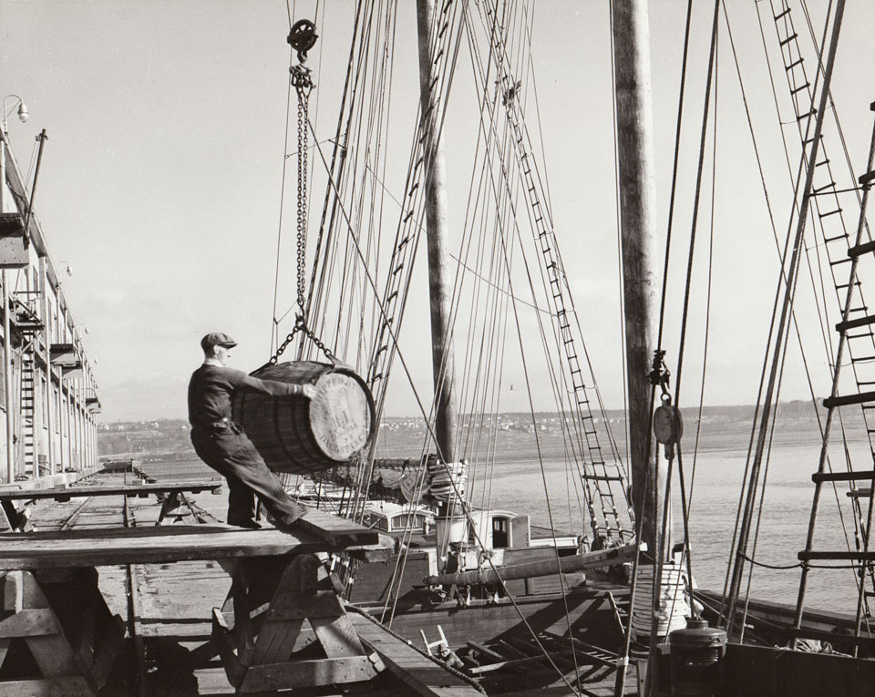 Loading of the schooner <i>Frederick P. Elkin</i> at pier, Halifax