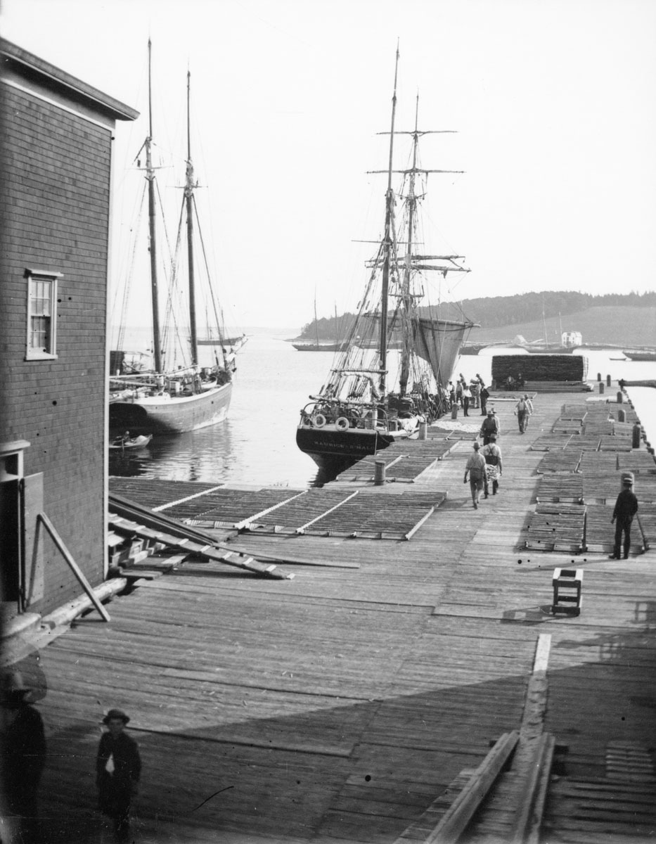 Schooners at wharf and nets drying