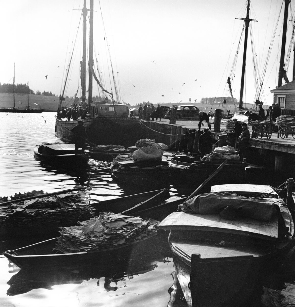 Wharf scene