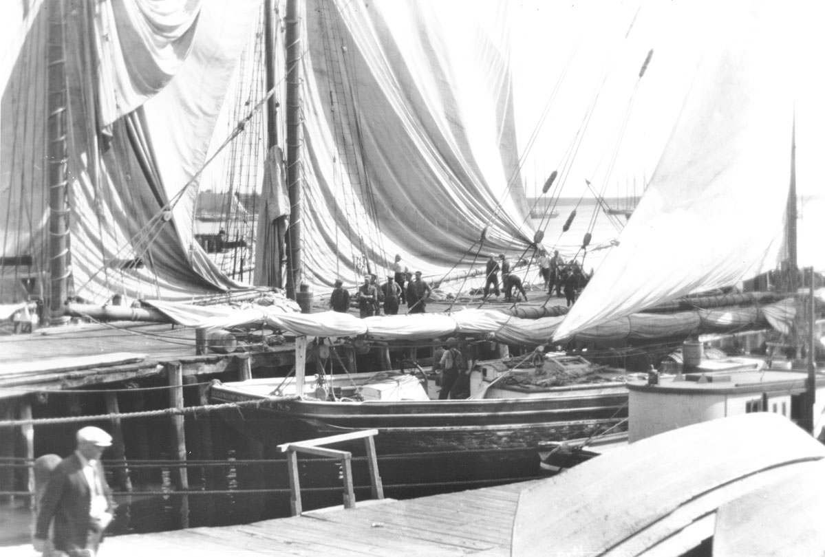 Sails drying at the wharf