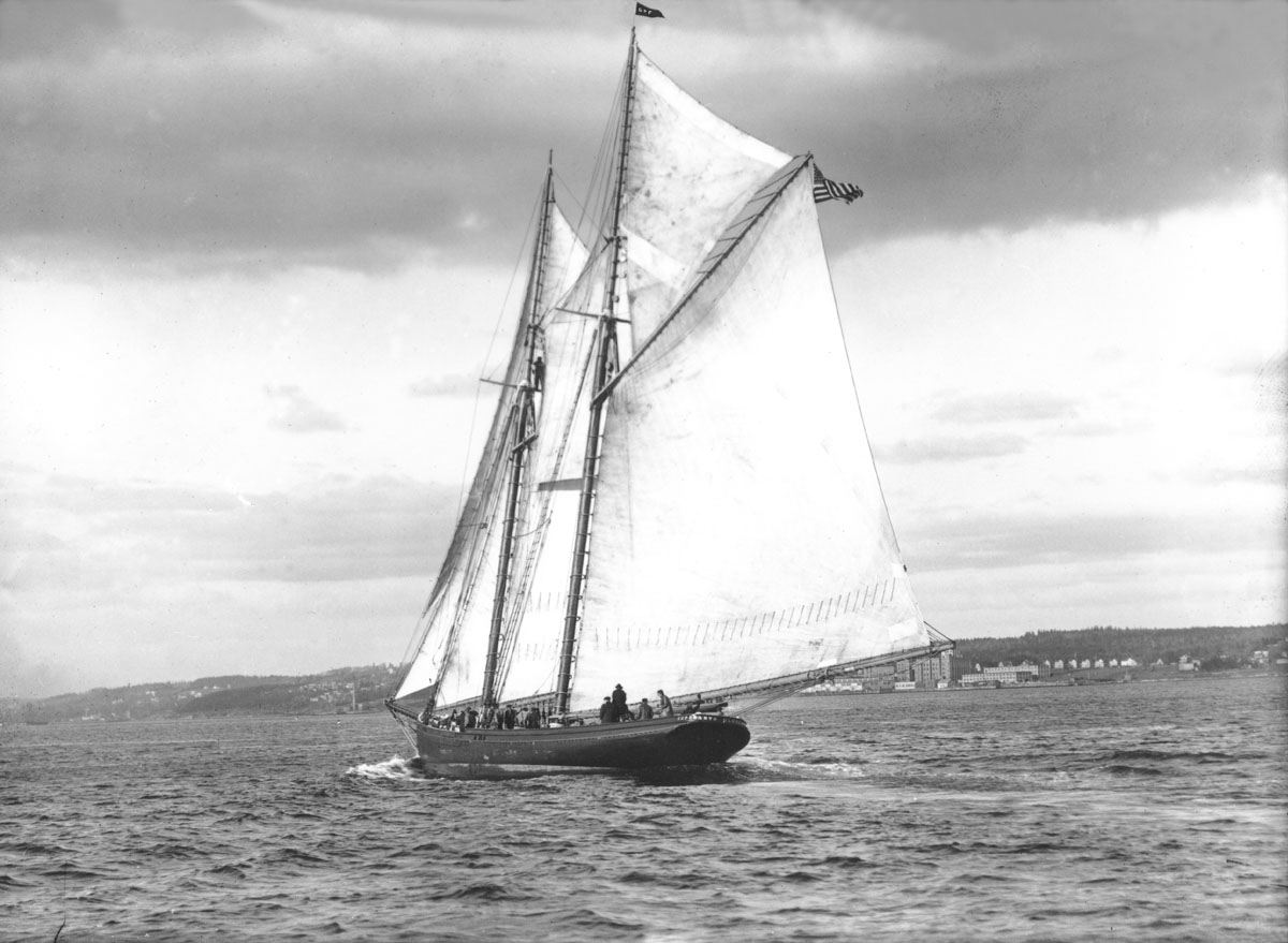 macaskill : Grand Bank fishing schooner Esperanto</i> out of Gloucester in Halifax Harbour