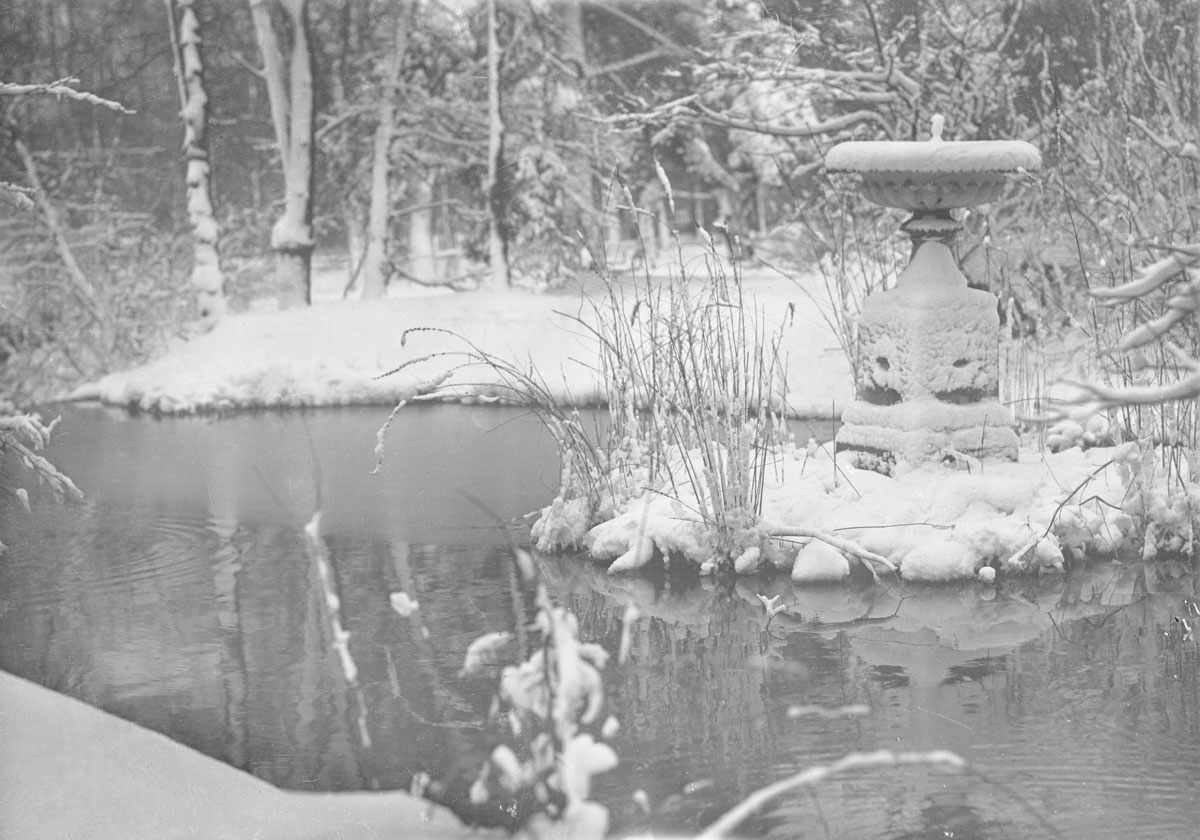 macaskill : Pond in winter, Public Gardens, Haliax, NS