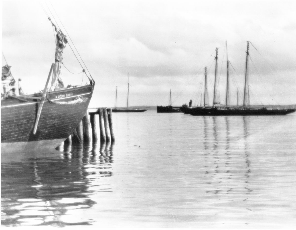 <i>Ocean Maid</i> and other Grand Bank fishing schooners at anchor, Lunenburg Harbour