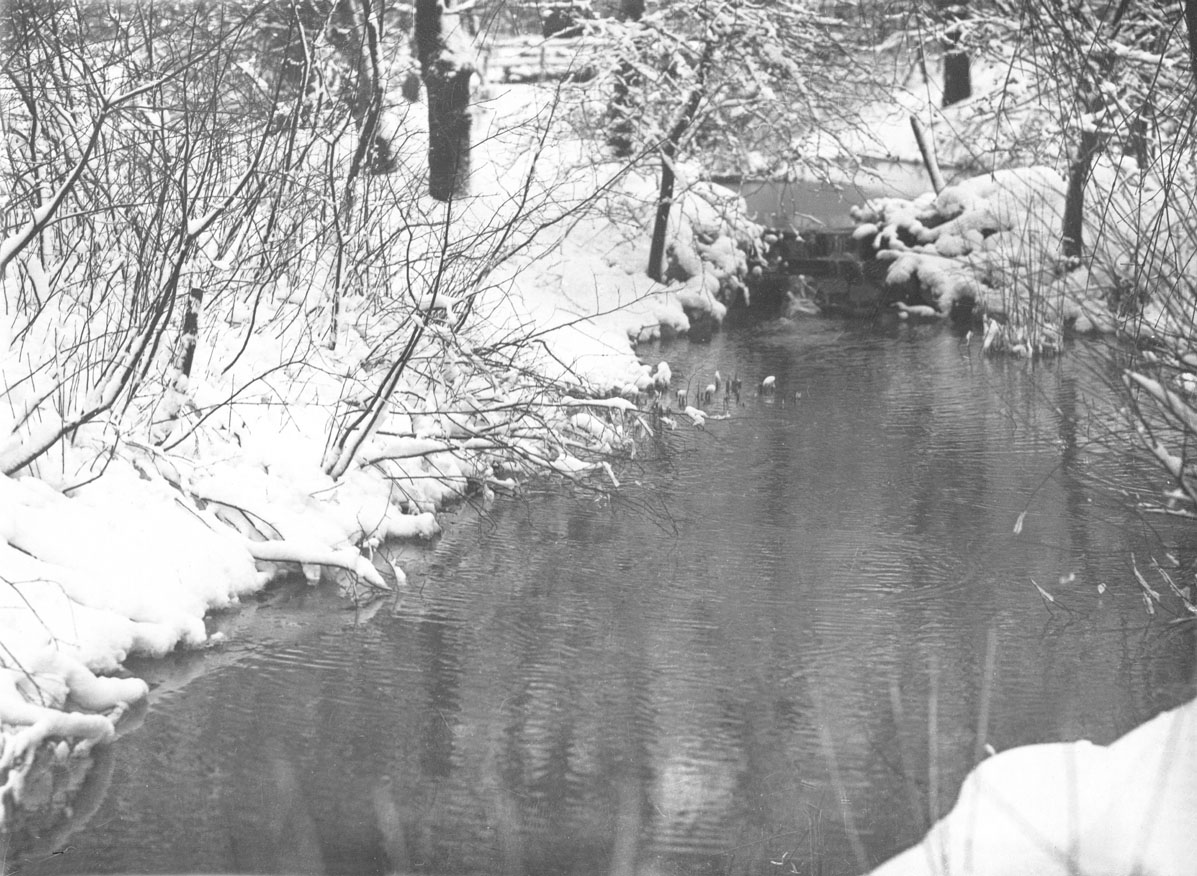 macaskill : Brook in winter