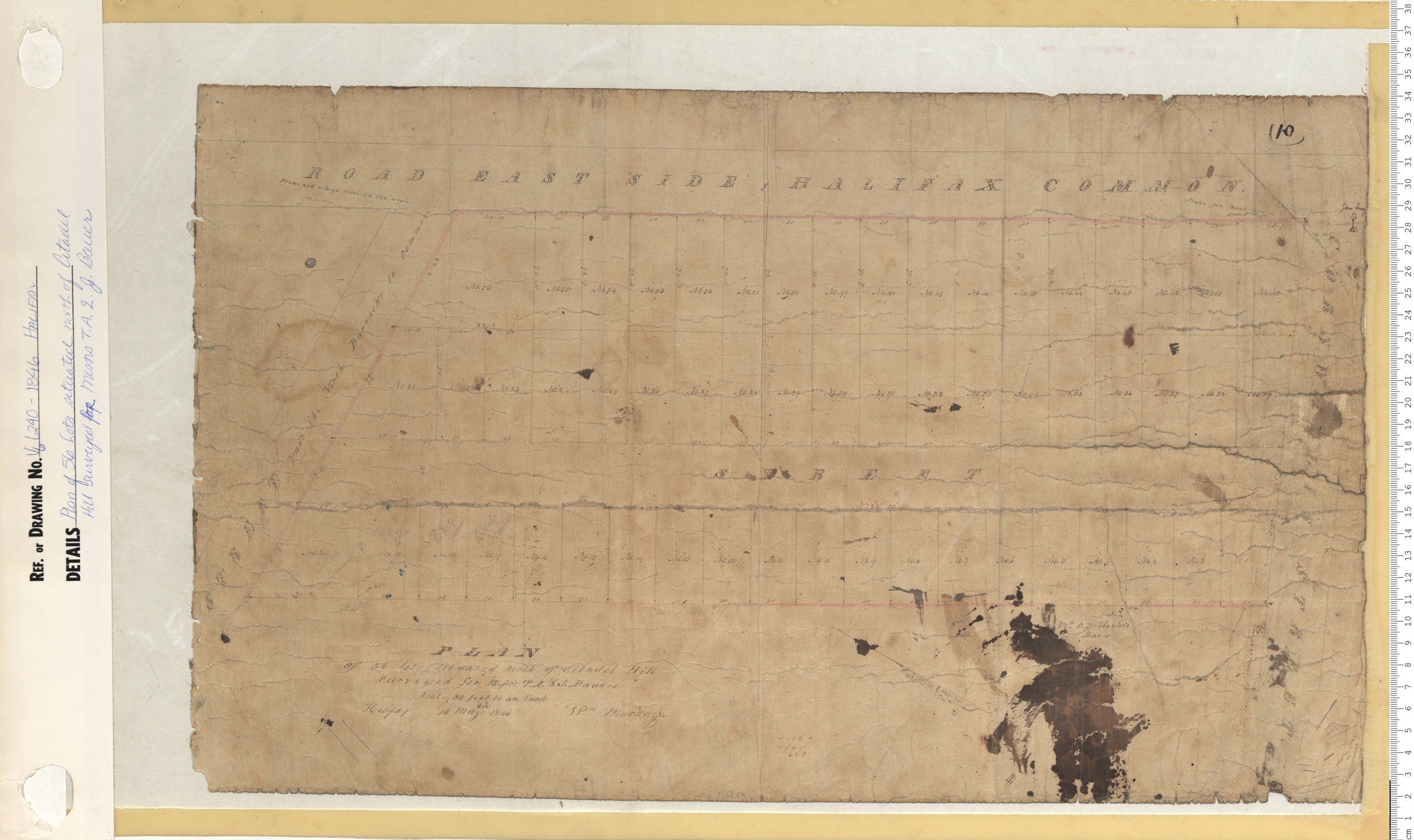 maps : Plan of 56 Lots situated north of Citadel Hill surveyed for Messrs T.A.& J. Bauer