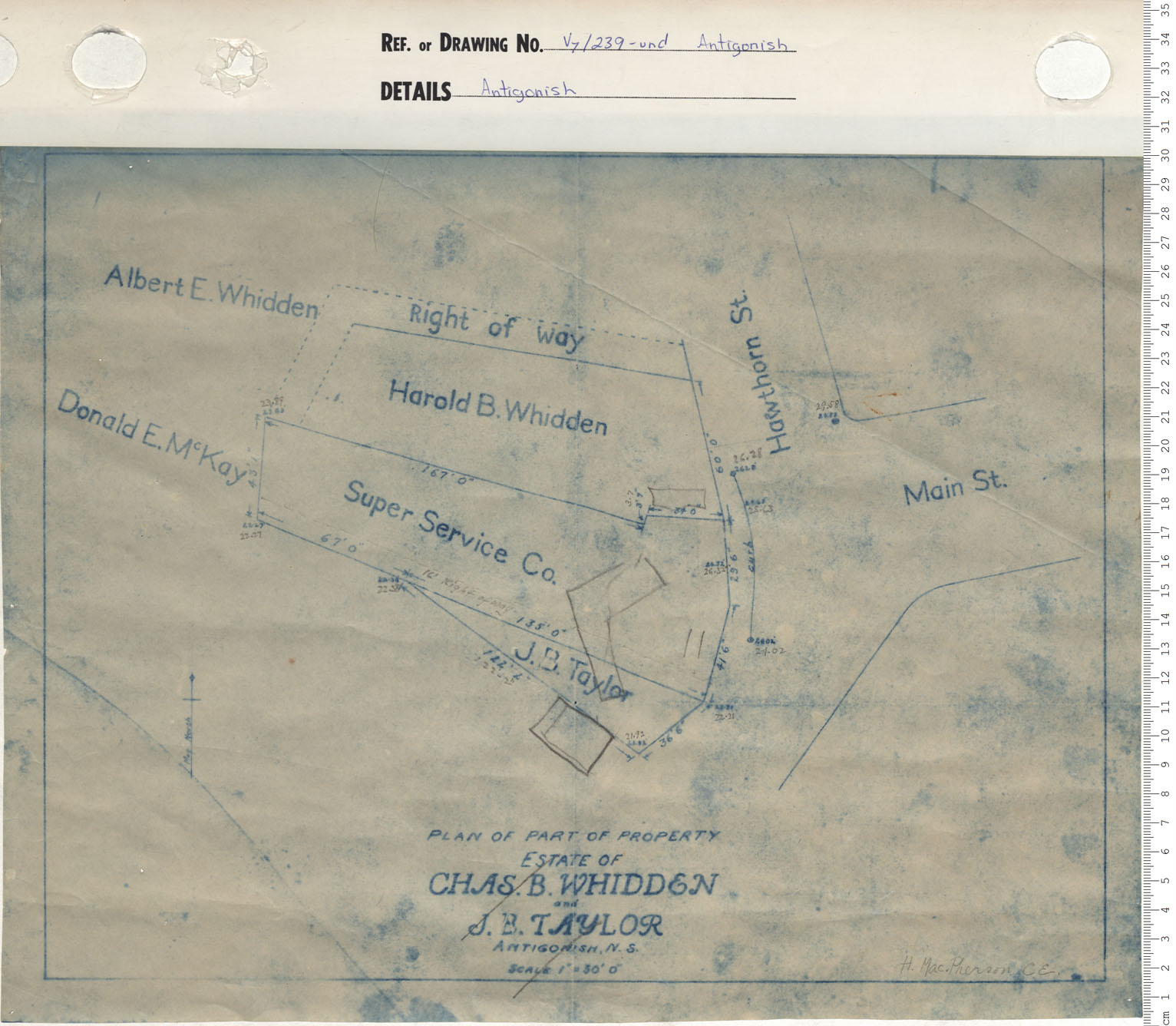 maps : Plan of part of property Estate of Chas. B. Whidden and J. B. Taylor, Antigonish, Nova Scotia