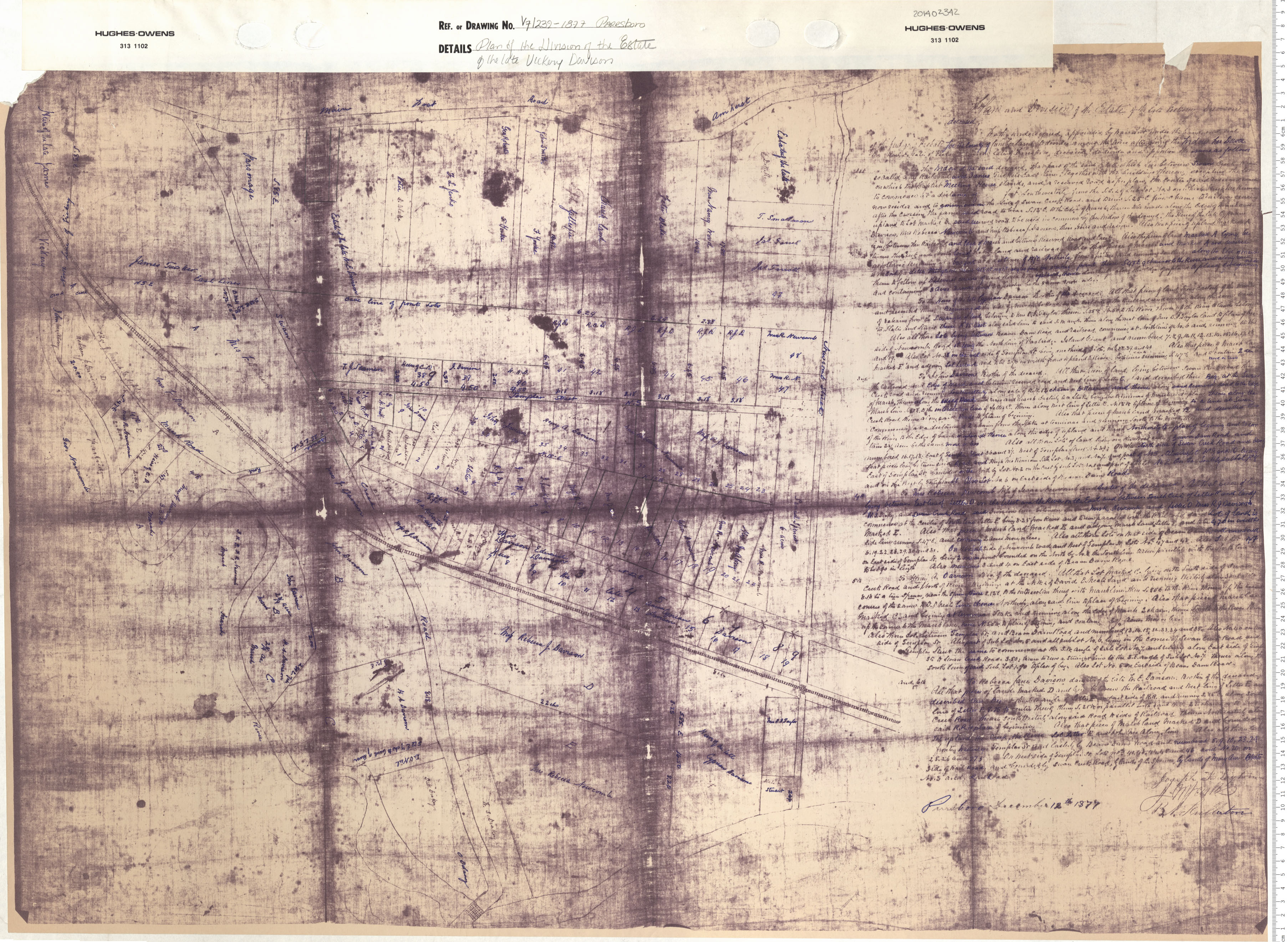 maps : Plan of the Division of the Estate on the Late Vickery Davison