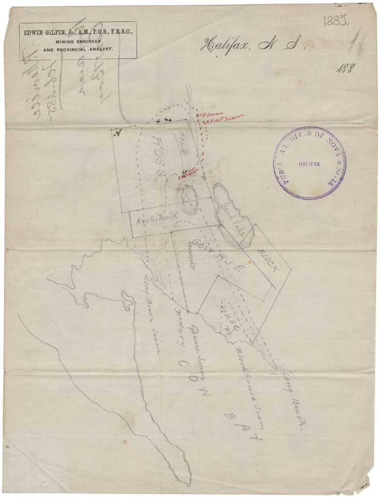 maps : Cow Bay Coal Seams