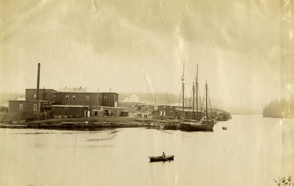 notman : Sheet Harbour, Nova Scotia, on reverse, Sheet Harbour, Nova Scotia, showing lumber on river