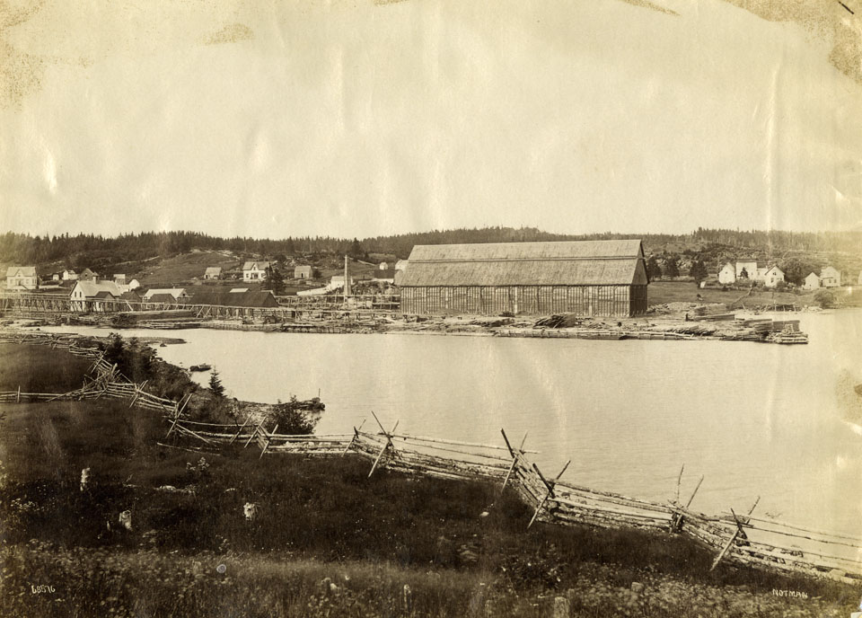 notman : Sheet Harbour, Nova Scotia, on reverse, Lumber Mill built by Havelock McC. Hart on West River, 1880, purchased by Rhodes and Curry, 1902