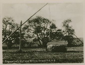 Places: Grand Pre, Kings Co.: General View: Evangeline's Well and Willow