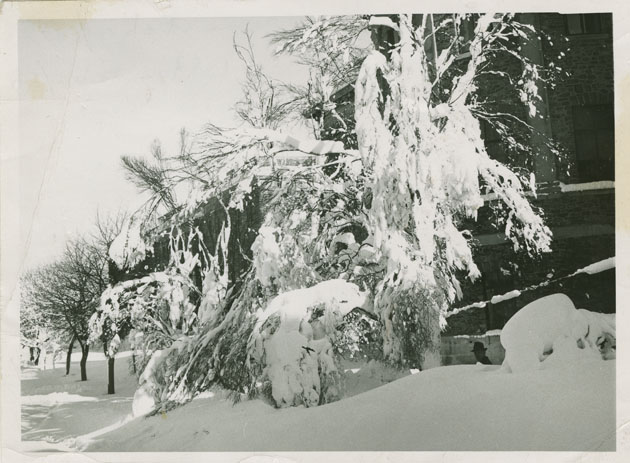 photocollection : Places: Halifax, Halifax Co.: Buildings: Archives: Archives and campus buiried during storm of Feb. 1960