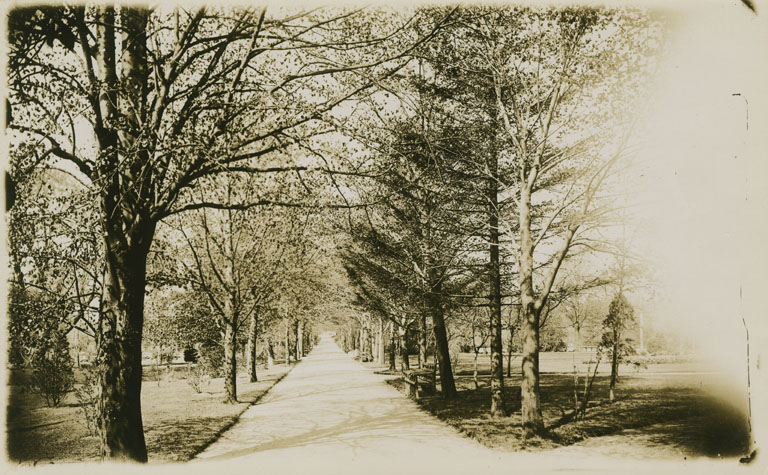 photocollection : Places: Halifax, Halifax Co.: Public Gardens: [Main east-west path]