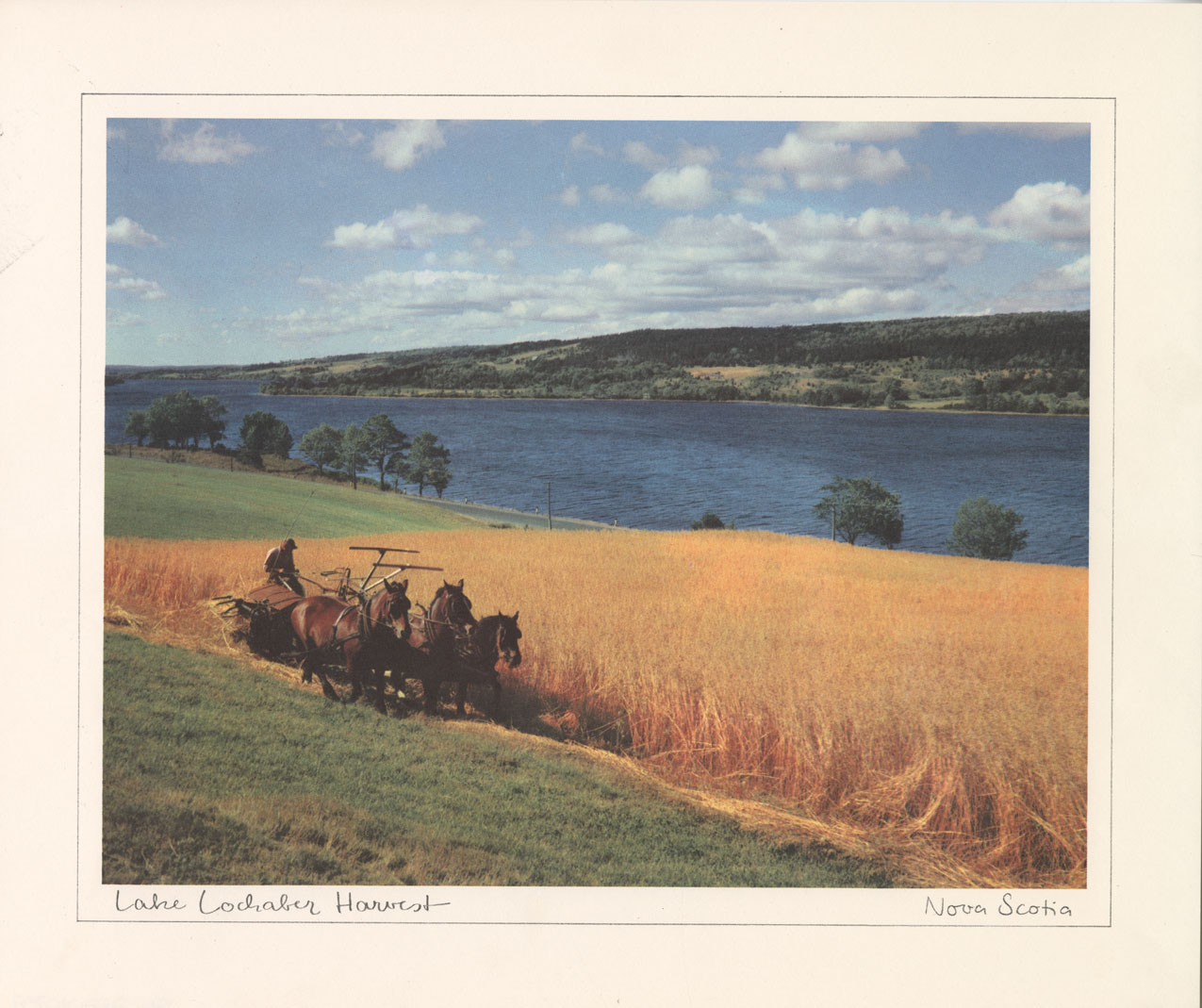 Book Jackets, Advertisements, and Art Reproductions: Atlantic Pavillion Photos of NS (from expo '67): Lake Lochaber Harvest
