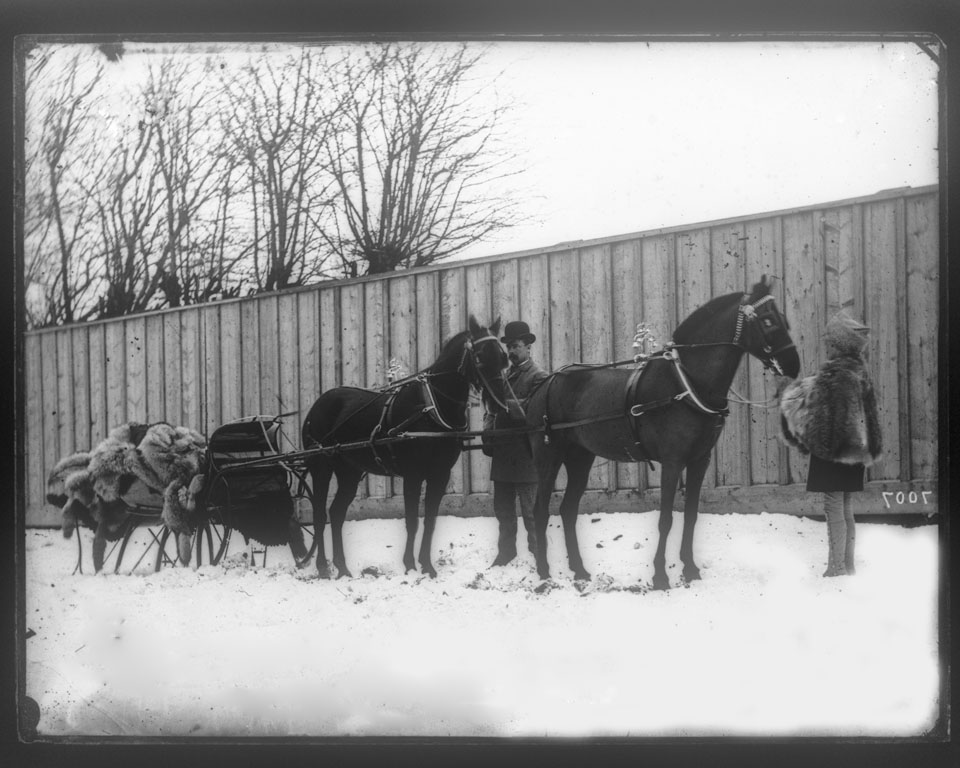 Horses, sleighs and carriages