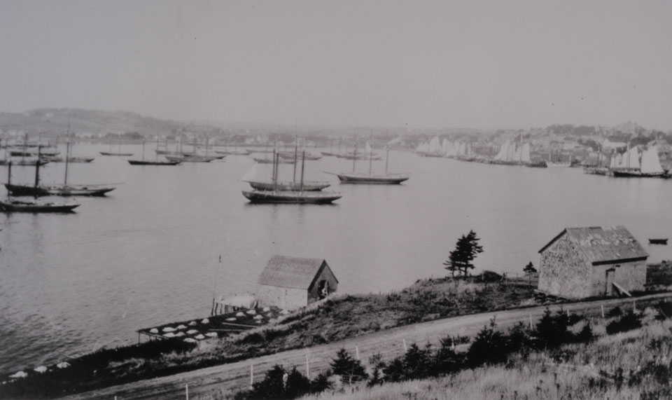 Fishing schooners anchored in St. Margaret's Bay