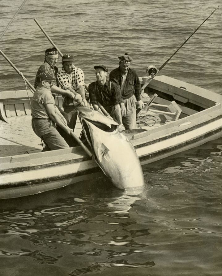 ''Nel Boating Tuna''