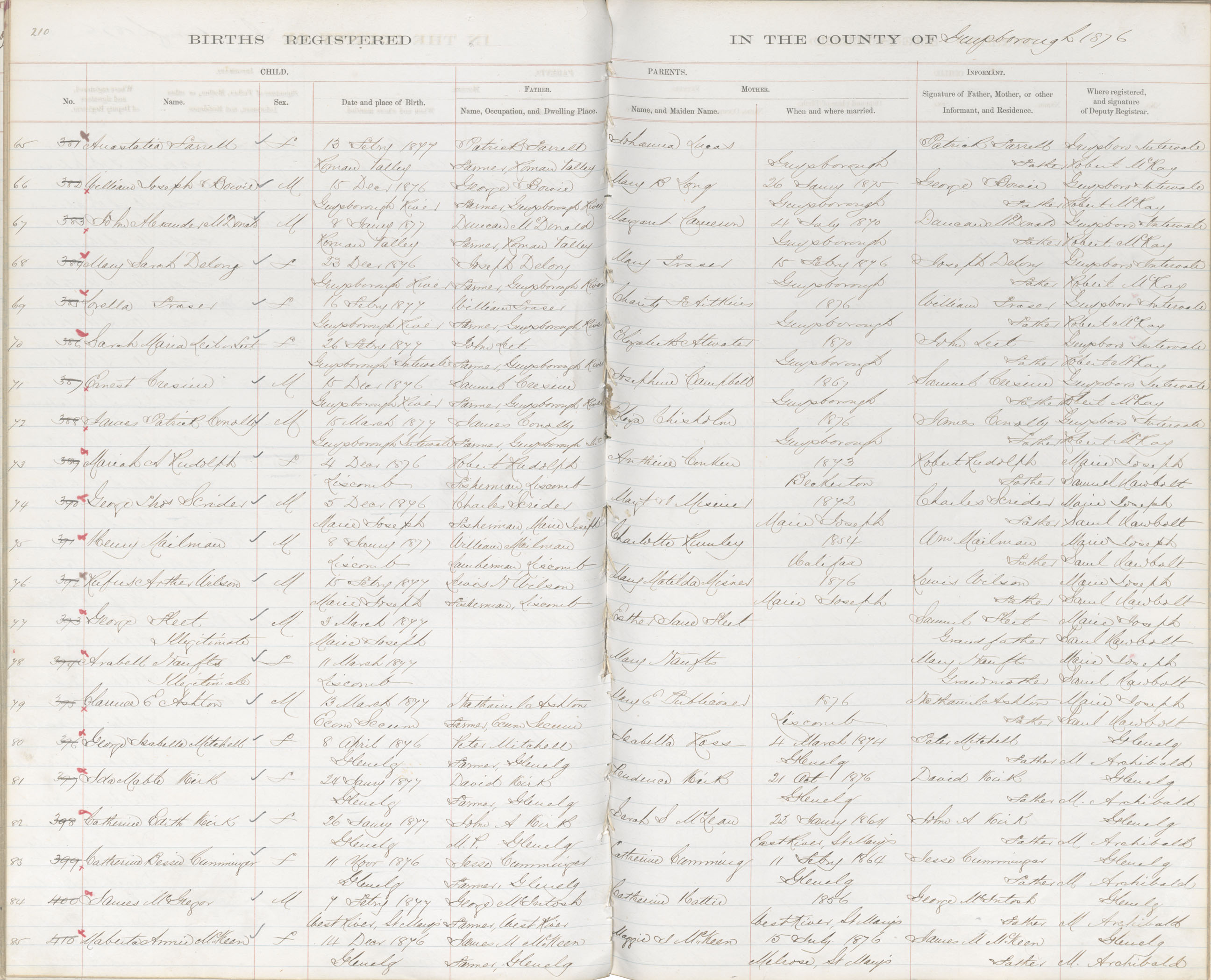 Nova Scotia Archives Nova Scotia Births Marriages And Deaths