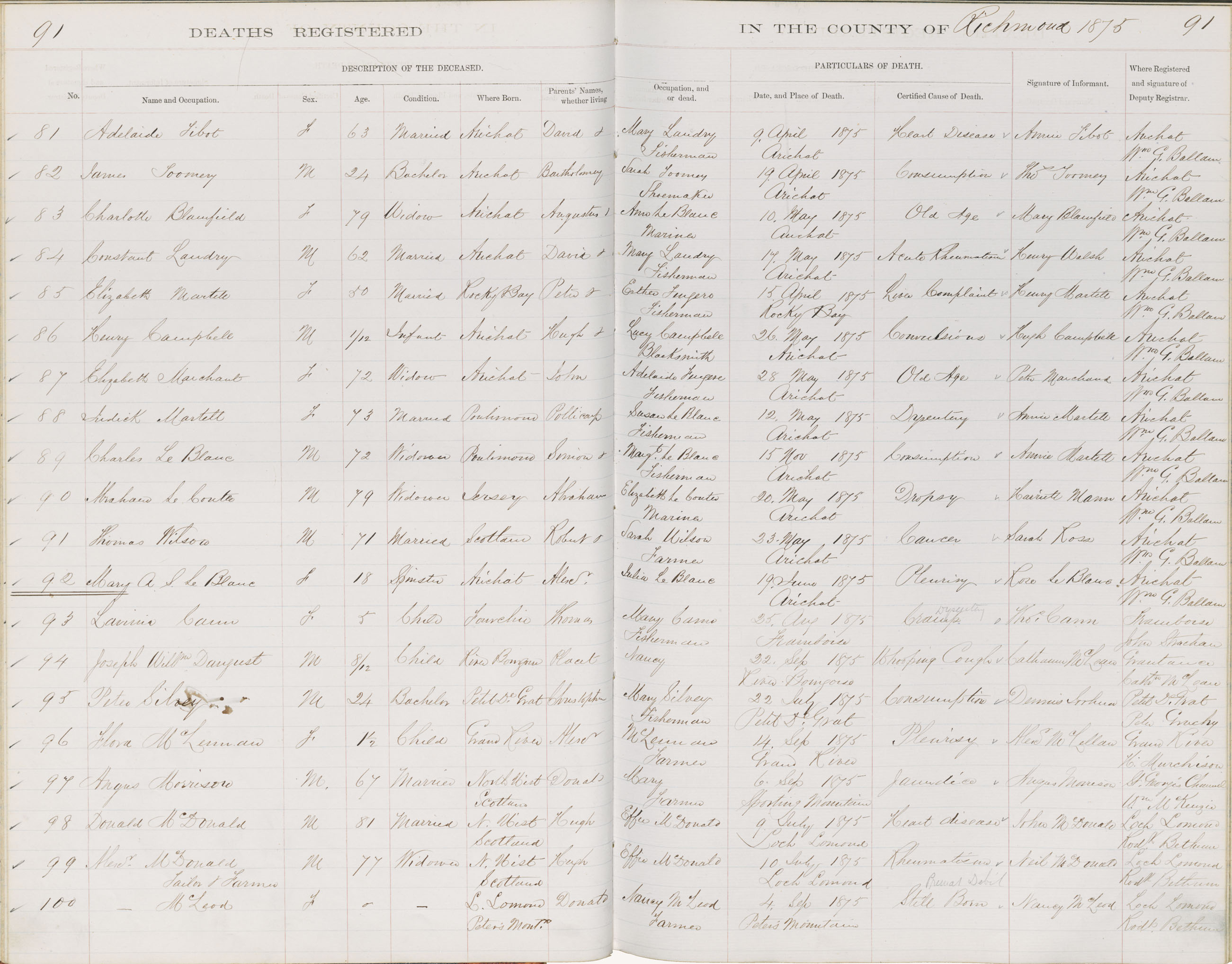 nova-scotia-archives-nova-scotia-births-marriages-and-deaths